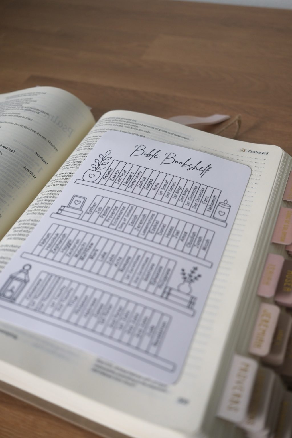 Bible Bookshelf Sticker